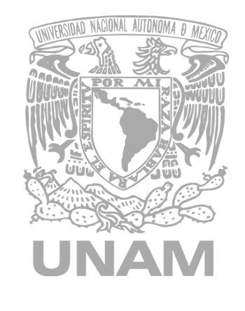 Curso avalado por la UNAM