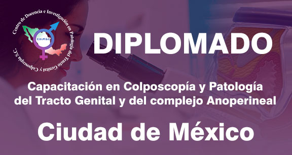 Diplomado Ciudad de México Inicio 15 de junio al 23 de noviembre, 2024